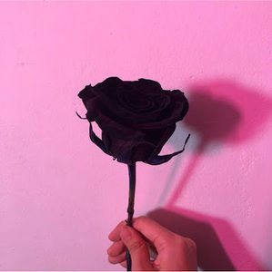 Meet your Posher, Geraldin